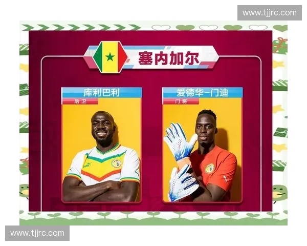 2018年世界杯精彩赛事回顾与球队最终排名全解析